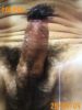 JPG 240x320 19.6kb